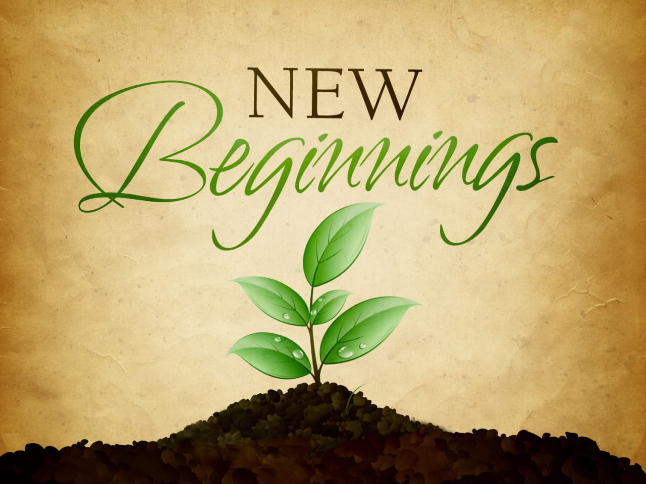 new-beginnings.jpg